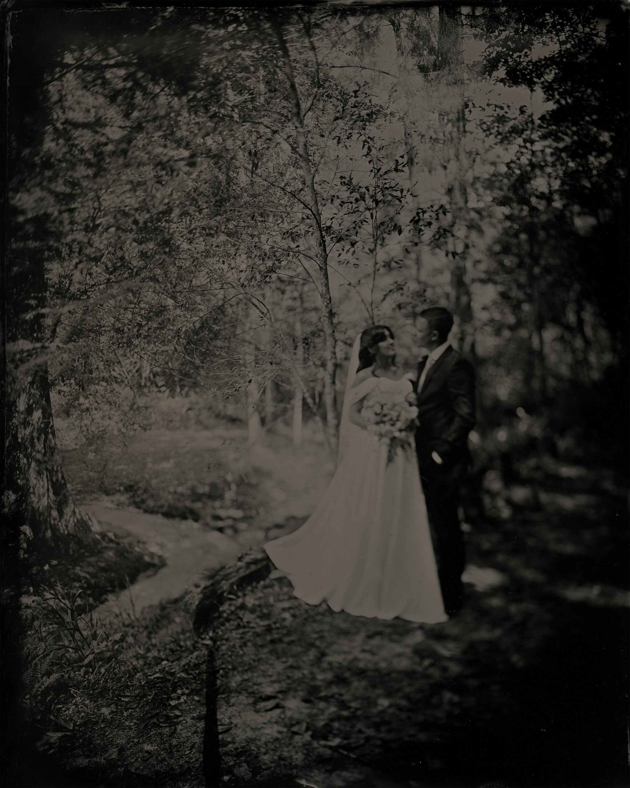 A Wedding in Ravine Gardens